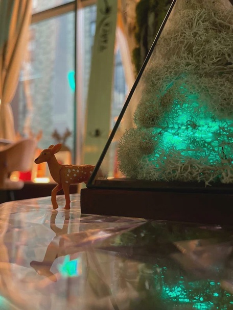 Арктические Посиделки